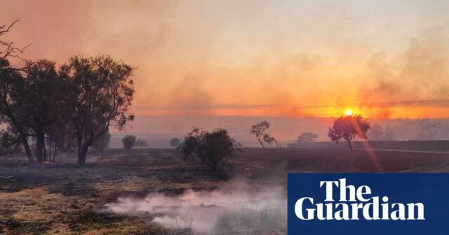 Lange vor der Kolonisierung wurden die Buschbrände Australiens durch indigene kulturelle Verbrennungen bekämpft. Laut einer Studie ist es jetzt notwendiger denn je

