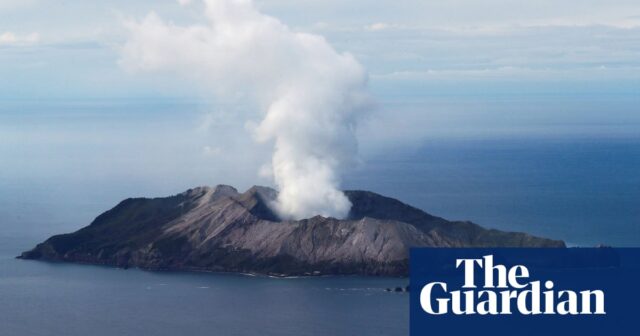 Vulkankatastrophe auf White Island: Eigentümer legen Berufung gegen strafrechtliche Verurteilung ein

