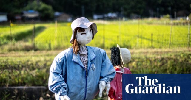 Das erfundene Leben im japanischen Dorf Ichinono – in Bildern

