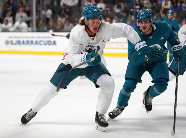 San Jose Sharks-Anwärter beendet Pattsituation und kehrt zum OHL-Team zurück

