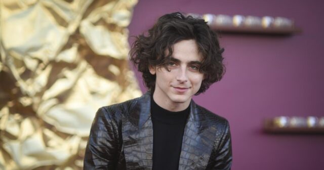 Timothée Chalamet stürzt bei seinem eigenen Doppelgänger-Wettbewerb ab. Nein, der „Dune“-Star hat nicht gewonnen

