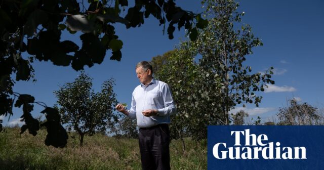 „Es ist Band-Band-Land“: Landbesitzer verwandeln Ackerland in Wald in den viktorianischen Alpen

