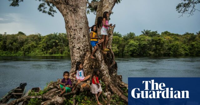 Was steckt hinter dem alarmierenden Anstieg von Geburtsfehlern in Brasiliens illegaler Goldminenhauptstadt?

