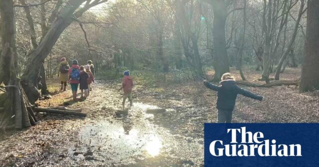 Jungs und Mädels der Natur – hier ist Ihre Chance, im Guardian veröffentlicht zu werden

