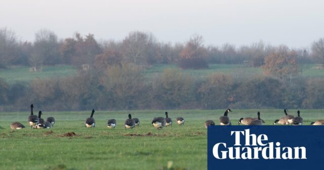 Nach Angaben des Met Office werden die Temperaturen in Großbritannien am Montag nach einem milden Wochenende sinken

