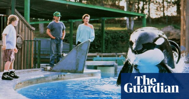 Die Serie erzählt die wahre Geschichte des Titelwals von Free Willy

