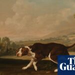 Das Hundegemälde von George Stubbs wird bei einer Auktion voraussichtlich bis zu 2 Millionen Pfund einbringen