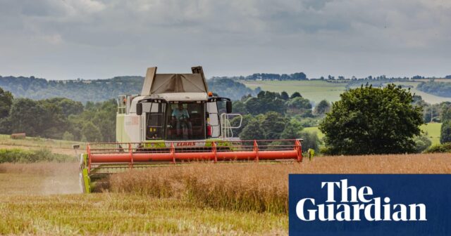 In England sinken die landwirtschaftlichen Einkommen nach extremen Wetterbedingungen und Subventionskürzungen

