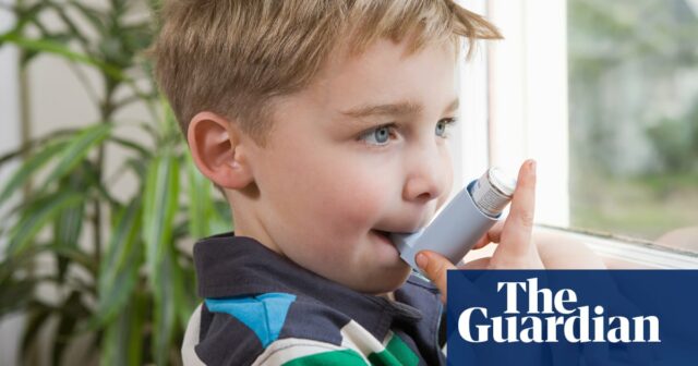 Forschungsergebnisse legen nahe, dass Asthma mit Gedächtnisproblemen bei Kindern in Zusammenhang steht

