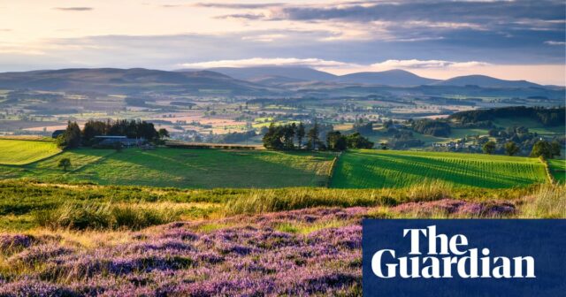 Englands Nationalparks sind aufgrund von Budgetkürzungen in finanzieller Gefahr, sagen Geschäftsführer

