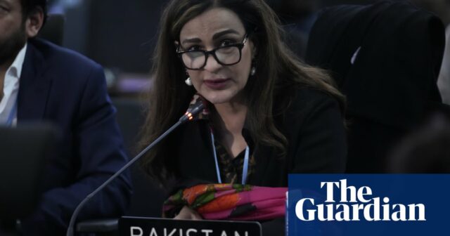 Cop29: „Es geht uns hier um Leben und Tod“, sagt der ehemalige Klimaminister Pakistans

