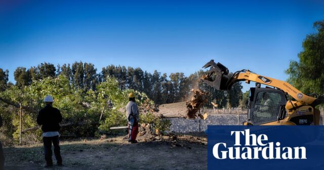 In Kalifornien besteht aufgrund starker Winde und niedriger Luftfeuchtigkeit ein extremes Waldbrandrisiko

