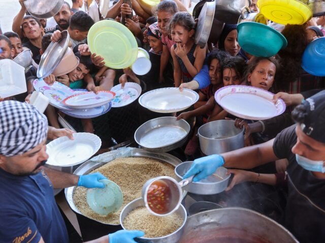 „Hohe Wahrscheinlichkeit“ einer bevorstehenden Hungersnot im nördlichen Gazastreifen: Experten für Ernährungssicherheit

