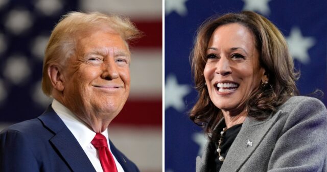 US-Wahlen: Noch zwei Tage – Was die Umfragen sagen, was Harris und Trump vorhaben

