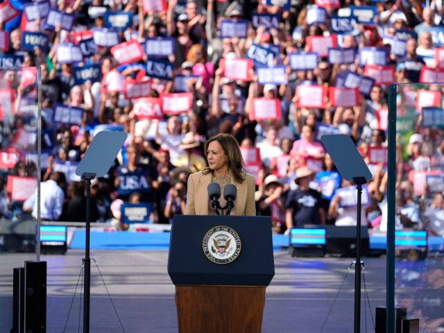 Kamala Harris greift Trump bei der Kundgebung in Georgia an

