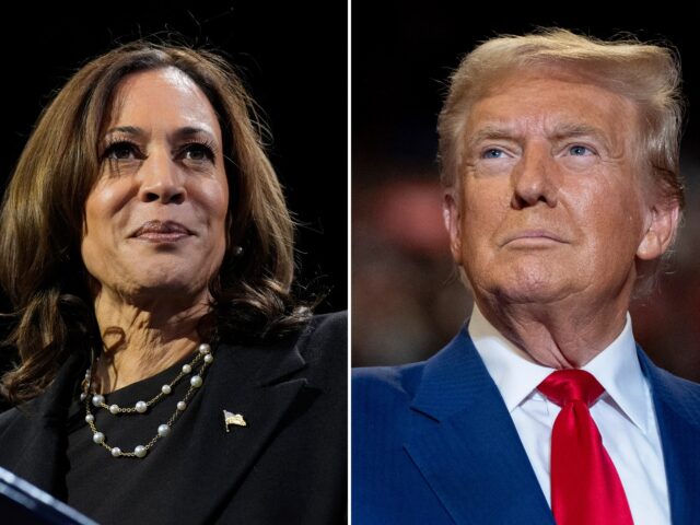 Kamala Harris fordert Donald Trump auf, seine Niederlage bei der US-Wahl einzugestehen

