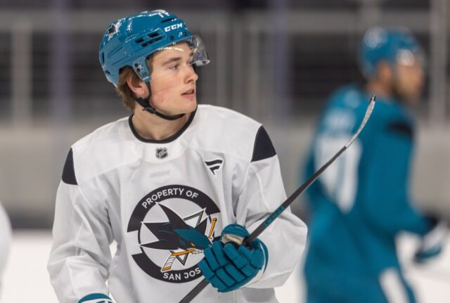 Sharks aktivieren Celebrini, Dellandrea aus IR, sollten zwei zurück zu Barracuda schicken

