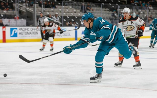 „Sharks kehren als Zweitrunden-Draft-Pick zum Junioren-Eishockey zurück“.

