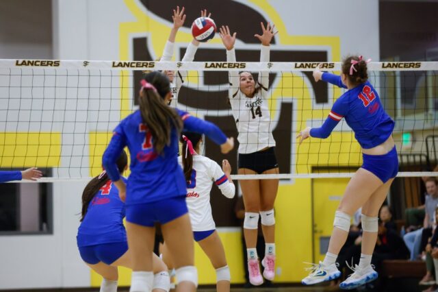 Vorbereitung im Rampenlicht: St. Francis-Volleyball-Senior Gowdy macht alles auf – und neben dem Platz

