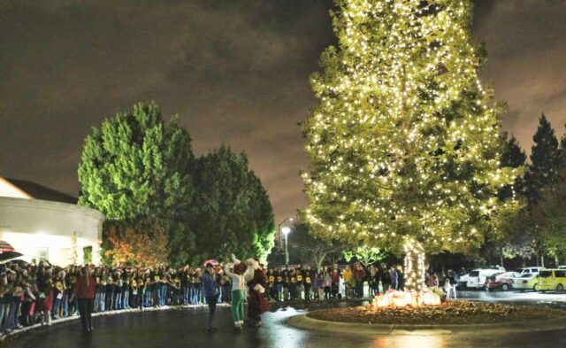 Cupertino Community Tree Beleuchtungsset für den 6. Dezember

