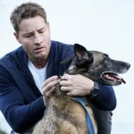 In Justin Hartleys neuem „Stalker“-Fall rettet Colter Shaw gestohlenen Hund