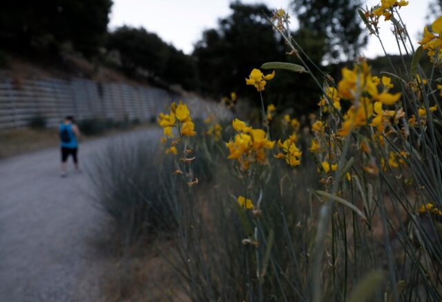 Wegreinigung in Los Gatos geplant

