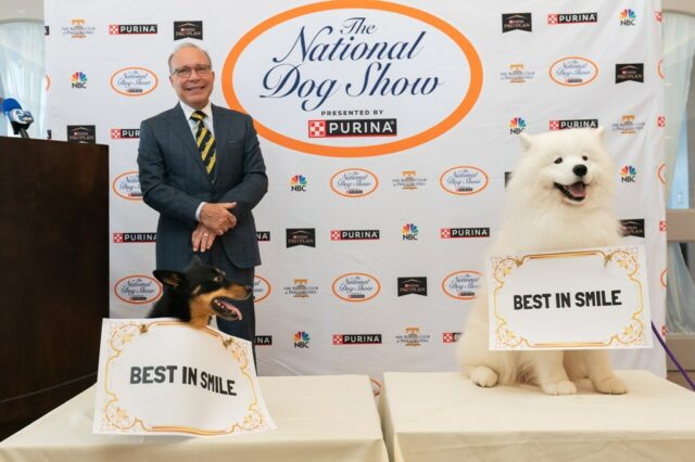 Bei der Vorschau auf die National Dog Show nahmen Hunde an einem „Lächeln“-Wettbewerb teil. Alle haben gewonnen

