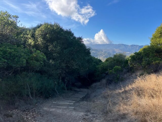 Wandern in Marin: Wählen Sie Ihr eigenes Abenteuer auf dem Oakwood Valley Trail

