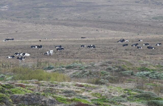 Prozessparteien im Park Point Reyes wollen, dass Anwohner von den Verhandlungen ausgeschlossen werden

