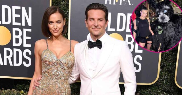 Die Ex-Freunde Bradley Cooper und Irina Shayk werden an Halloween gemeinsam mit Tochter Lea, 7, Eltern

