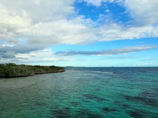 US-Territorium, Puerto Rico und Cannabis

