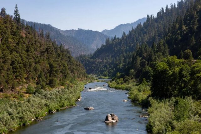 Walters: Ein Jahrhundert später laichen im Klamath River nach der Entfernung des Staudamms erneut Lachse

