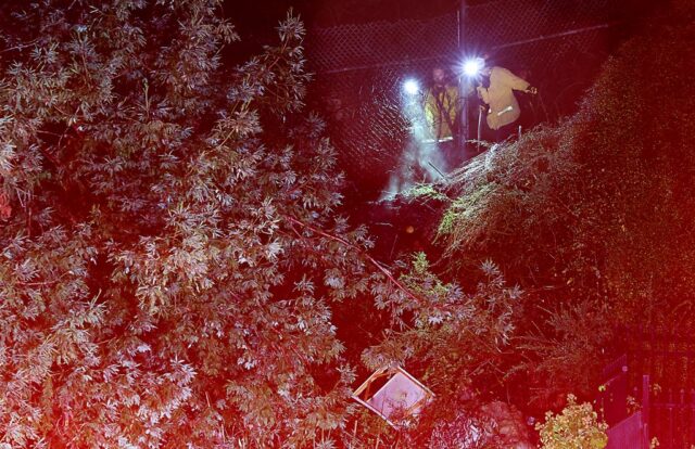 Die Polizei von Santa Cruz verhaftet zwei mutmaßliche Brandstifter bei Bränden, die nichts miteinander zu tun haben

