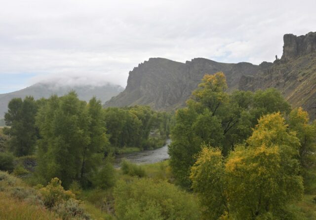 Die Regierung gibt Optionen für die Zukunft des Colorado River frei, da die Verhandlungen zwischen den Bundesstaaten ins Stocken geraten

