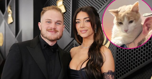 Zach Bryan posiert mit der Katze, die er angeblich seiner Ex Brianna Chickenfry gestohlen hat

