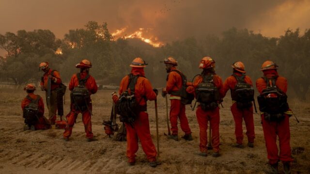 So finden Sie online Updates zum Bergfeuer in Kalifornien

