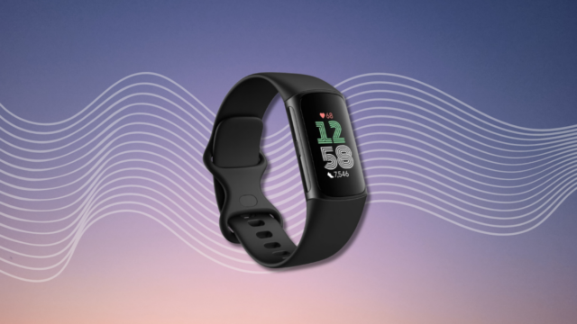 Der Fitbit Charge 6 wird seinen niedrigsten Preis im Jahr 2024 haben

