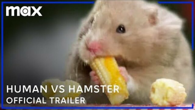 Ich kann nicht glauben, dass „Human vs Hamster“ eine echte Show ist

