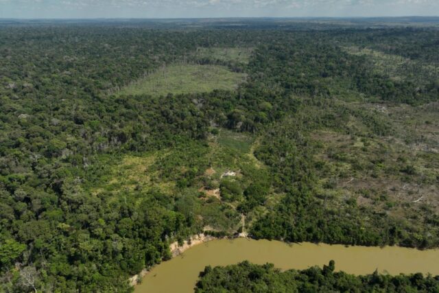 Die Entwaldung im Amazonasgebiet geht im Vergleich zum Vorjahr um 31 % zurück

