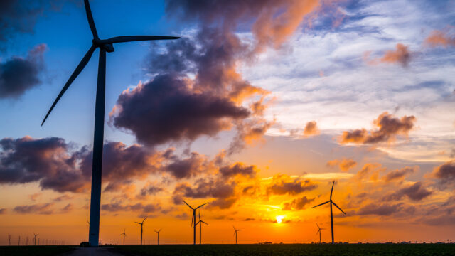 Wind turbines stand against a sunset near the Gulf of Mexico.