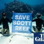 Seltene Vision des Scott Reef in Washington zeigt ein schillerndes Ökosystem, das durch Gasprojekte bedroht ist – Video