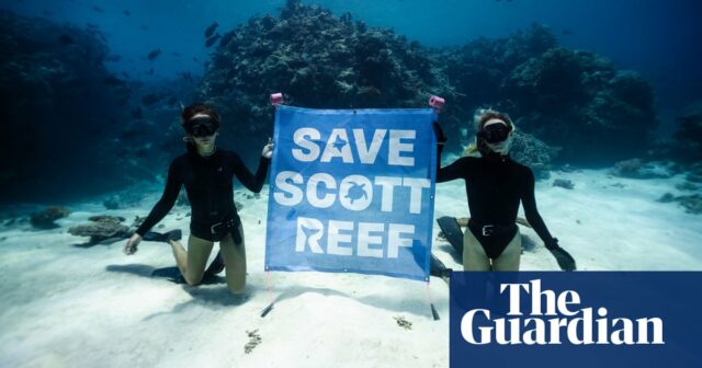 Seltene Vision des Scott Reef in Washington zeigt ein schillerndes Ökosystem, das durch Gasprojekte bedroht ist – Video

