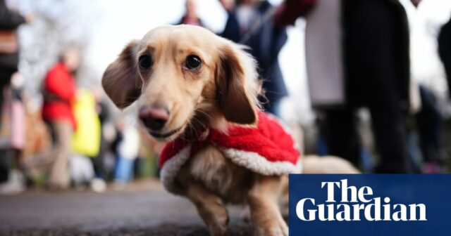 Ein Spaziergang mit einem Dackel und ein Massai-Hochsprung: Fotos vom Wochenende

