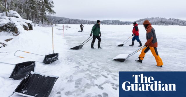 „Wie ein riesiger Vogelkasten“: Die Freiwilligen bauen riesige Schneeverwehungen für Finnlands trächtige Robben

