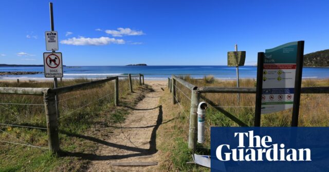 Buruli-Geschwür: Forscher warnen vor fleischfressenden Bakterien an der Südküste von New South Wales, die zu Entstellungen führen können

