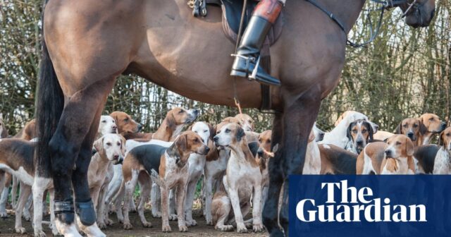 Fordert die Labour-Partei nachdrücklich auf, ihr Versprechen einzuhalten und die Anti-Jagd-Gesetze zu verschärfen

