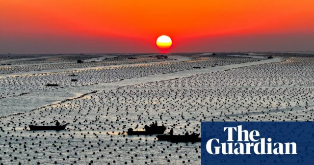 Eine bemalte Braut und blühende Narzissen: Fotos des Tages – Montag

