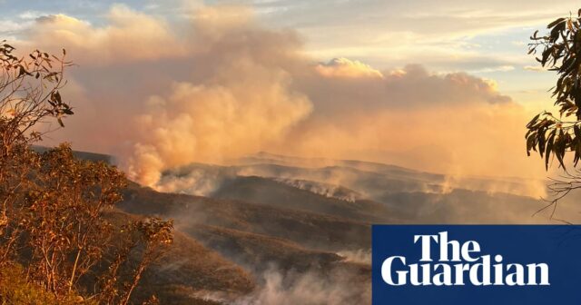 Erneute Buschfeuerwarnungen für NSW, Victoria und WA, da die Hitzeprognose für Neujahr zurückkehrt

