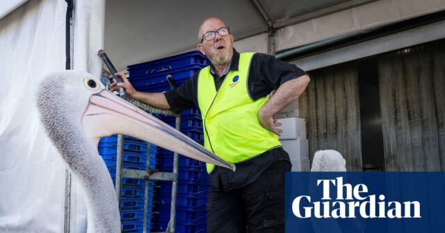 Nostalgie auf der Speisekarte: Sydneys berühmter Fischmarkt serviert seinen letzten Weihnachtsfang

