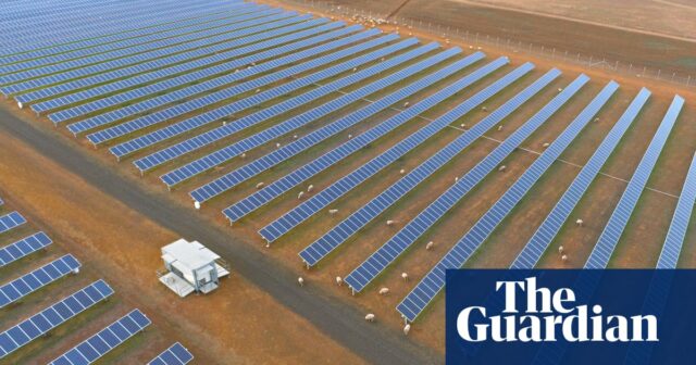 Australische Häuser sollen diesen Sommer durch mehr erneuerbare Energien und Batterieprojekte gekühlt werden, sagt Aemo

